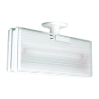 Double Easy LEDs Light
